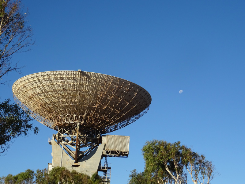 Space Dish 2