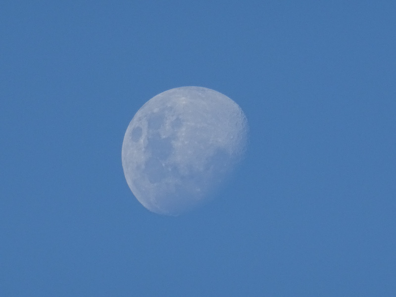 Space Dish 3