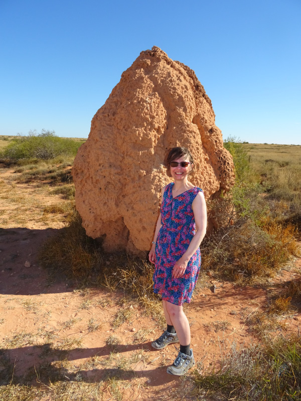 Termite mounds 1