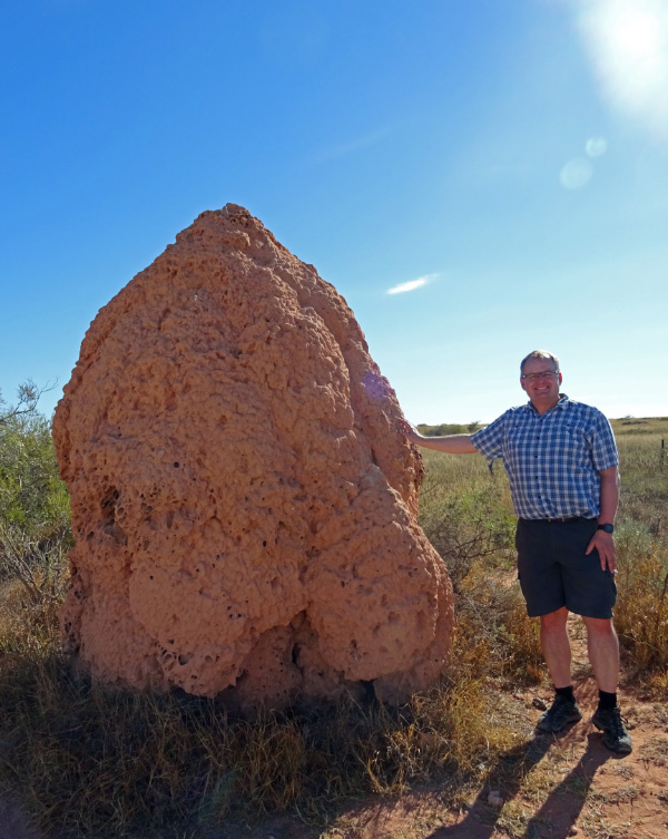 Termite mounds 2