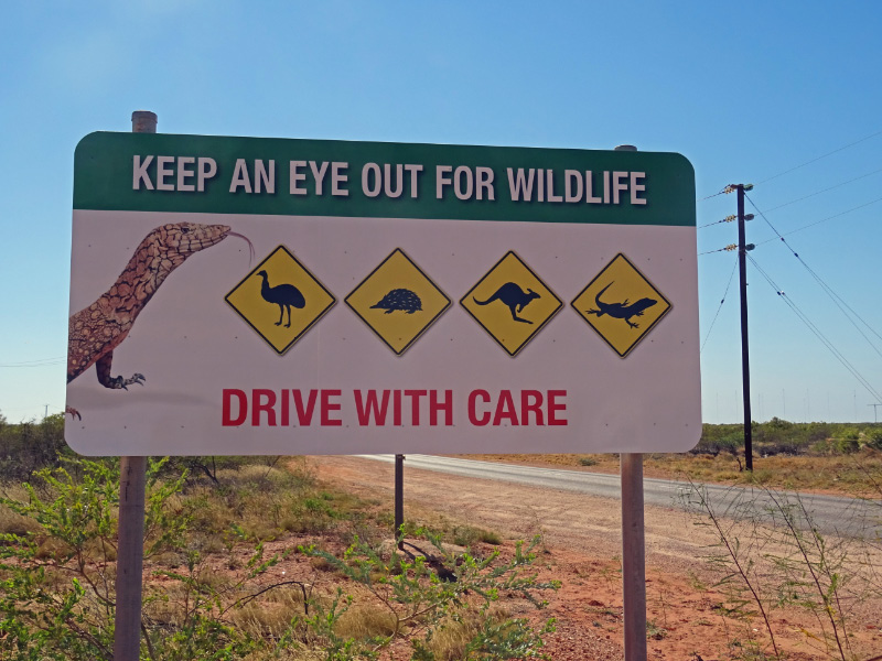Wildlife