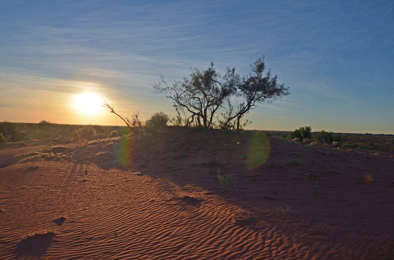 Dunes 1