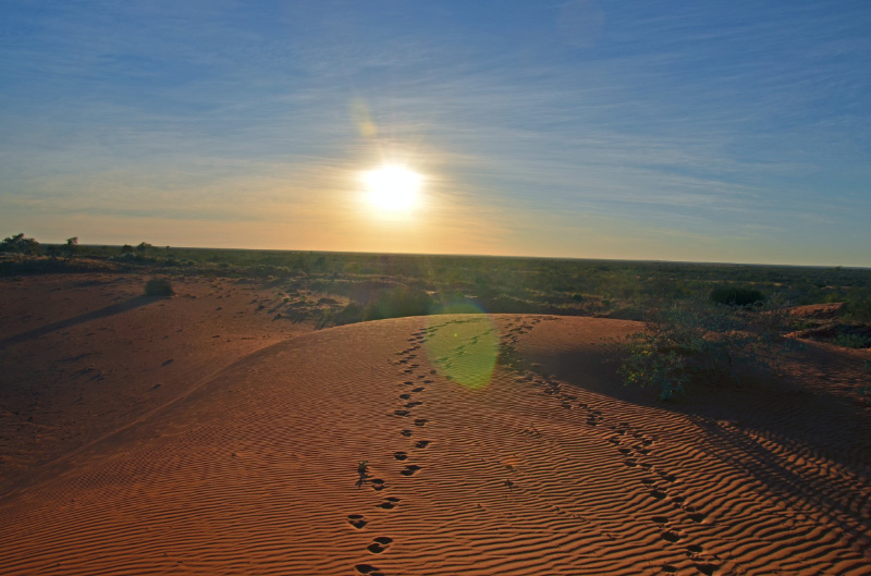 Dunes 2