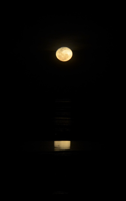 Stairway to the Moon 3