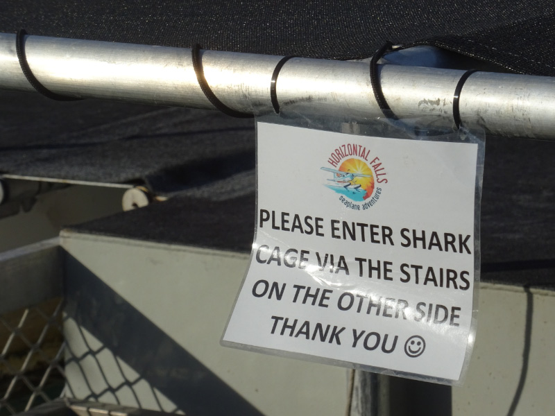 Shark tank