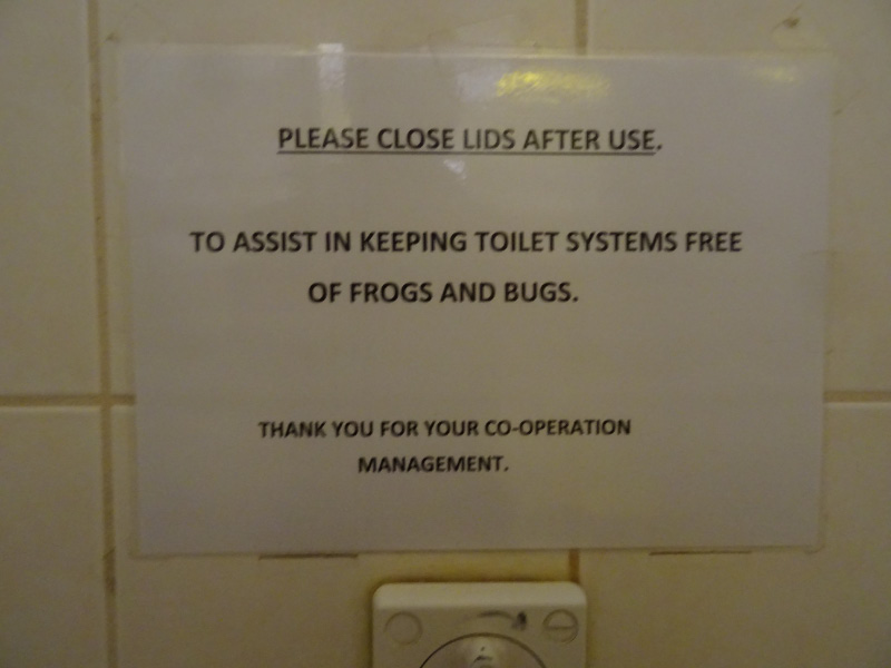 Toilet
