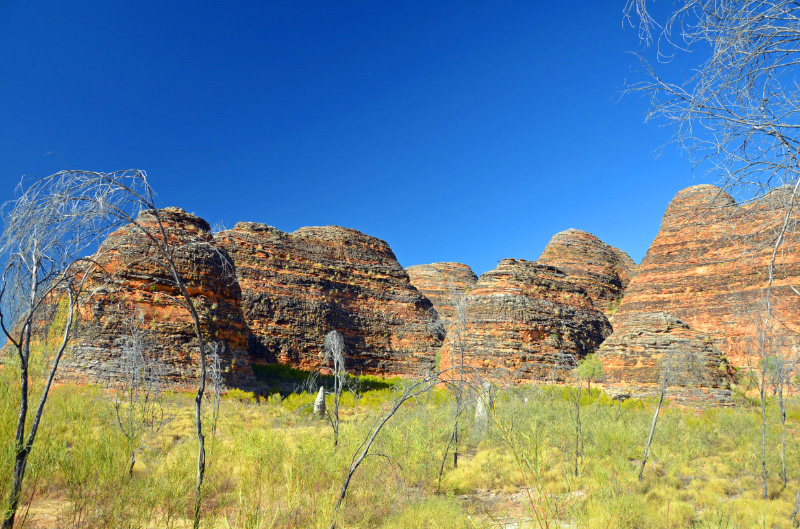 Bungle Bungles 16