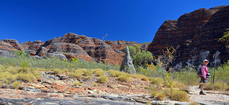 Bungle Bungles 4