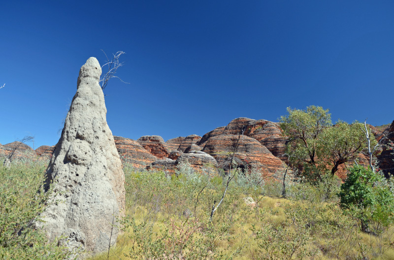 Bungle Bungles 5