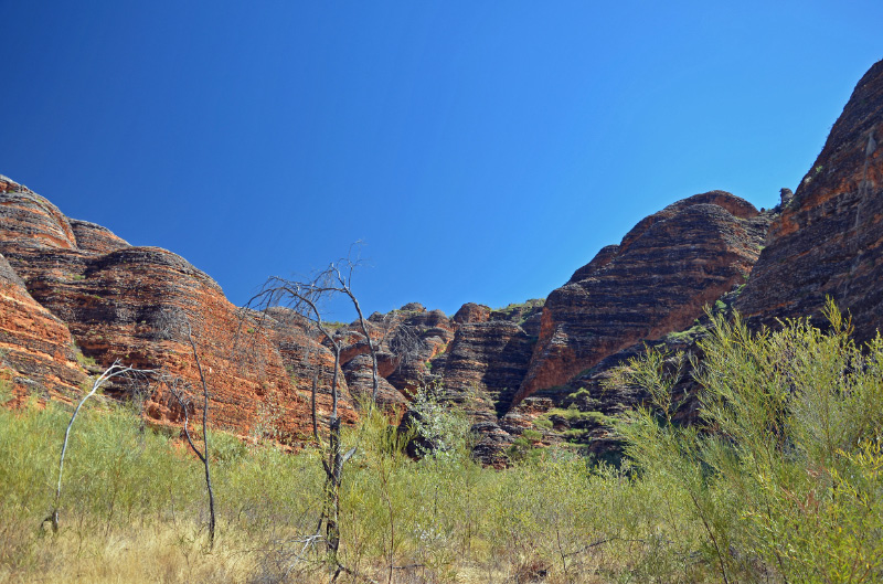 Bungle Bungles 6