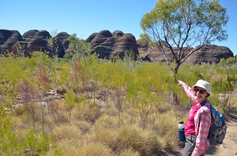 Bungle Bungles 10
