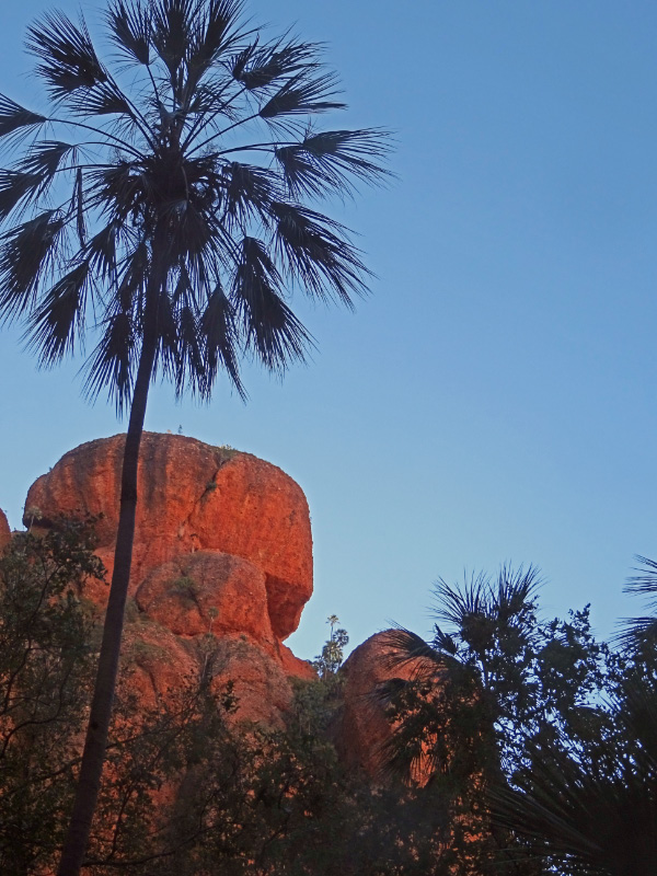 Echidna Gorge 1