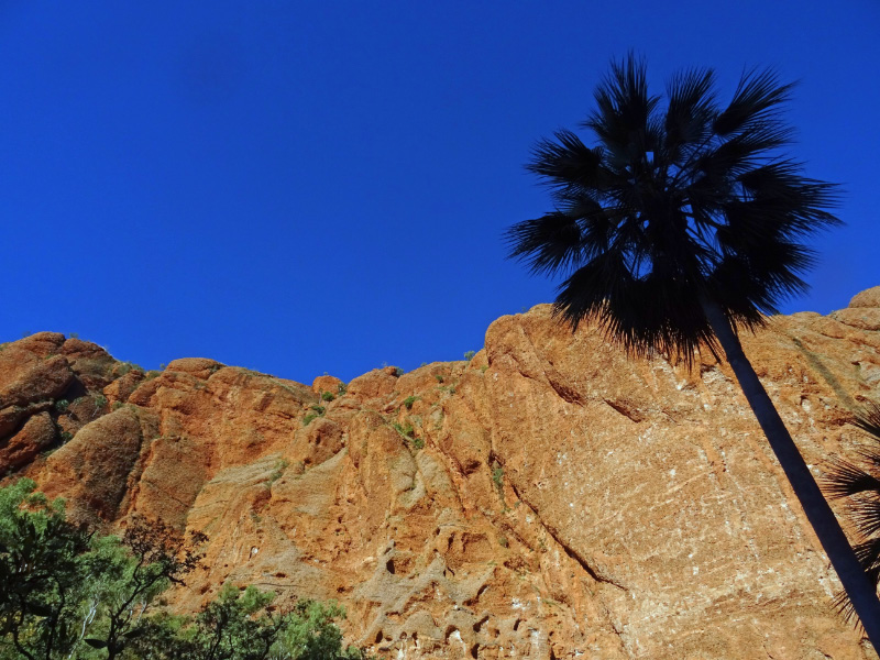 Echidna Gorge 3
