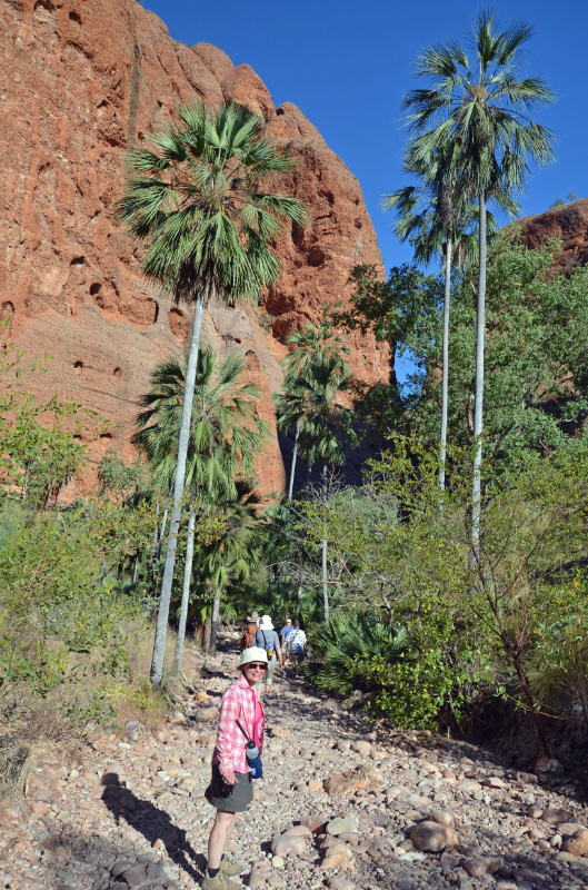 Echidna Gorge 4