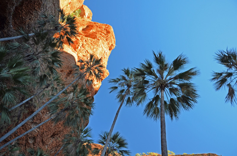 Echidna Gorge 7
