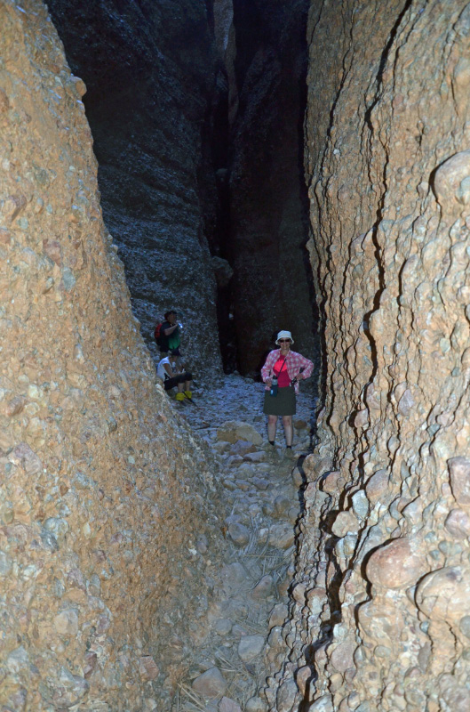 Echidna Gorge 10
