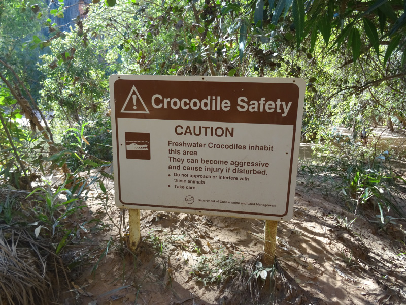 Crocodile sign