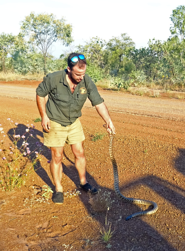 Snake 1