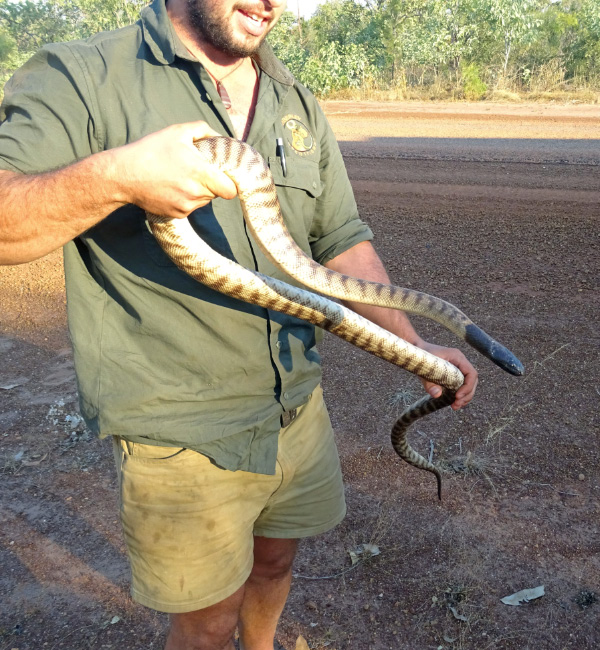 Snake 2