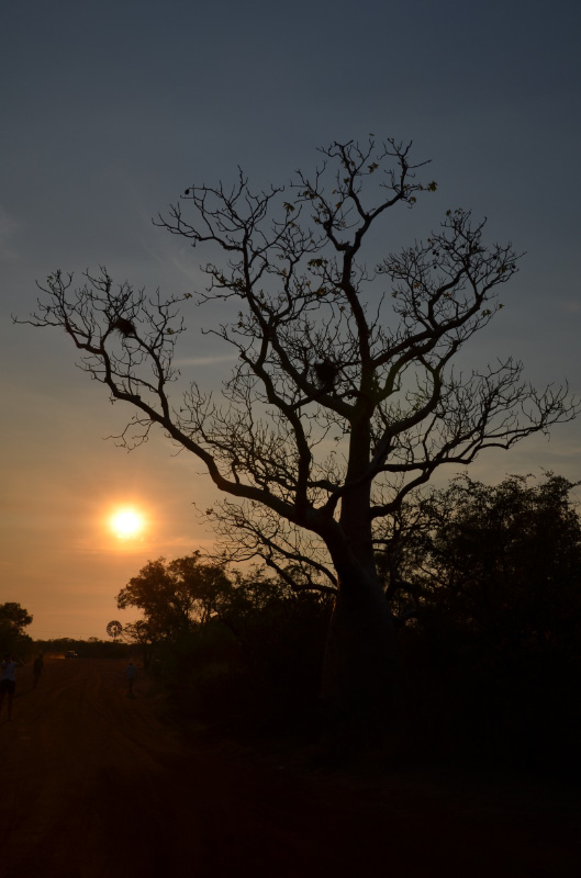 Sunset 1