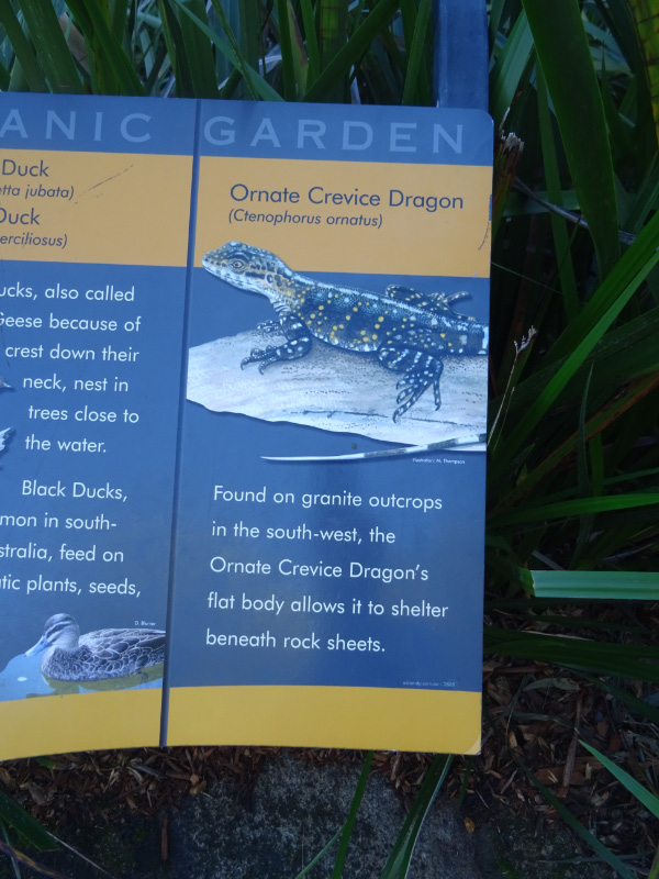 Kings Park 8