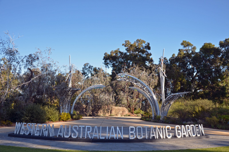 Kings Park 6
