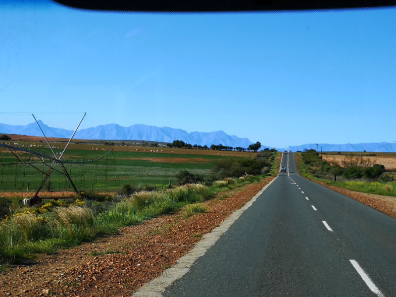 Road trip