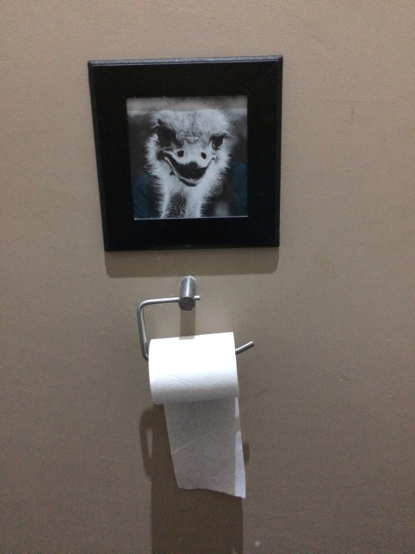 Toilet roll