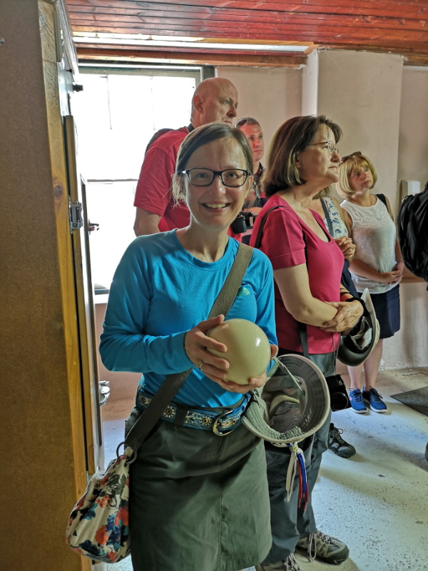 Miche egg