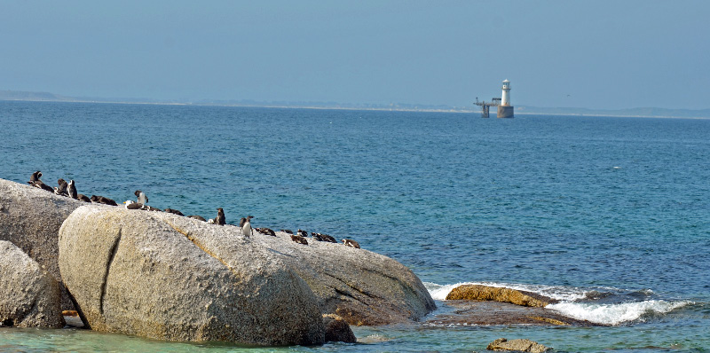 Boulders Bay 10