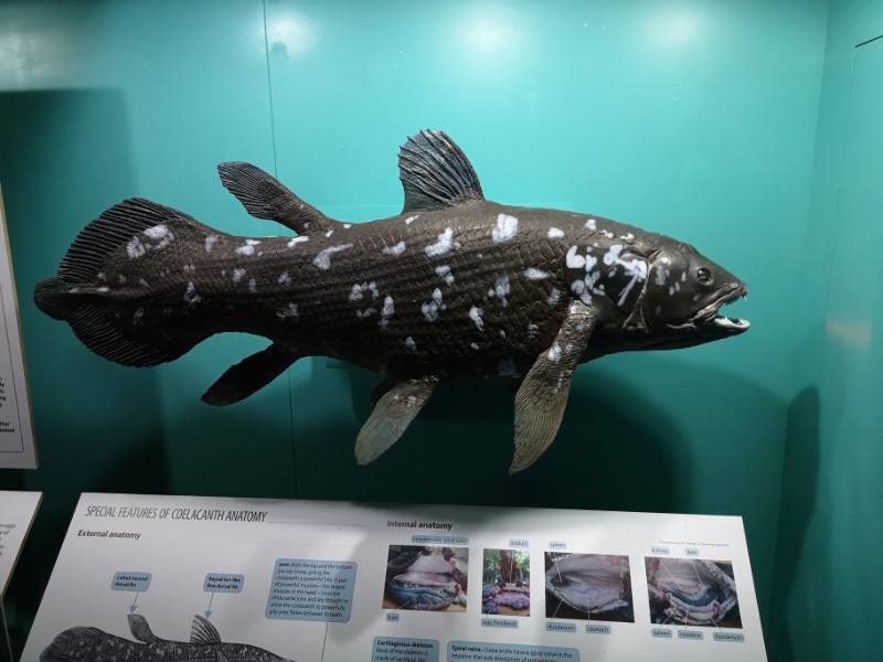 Museum 4