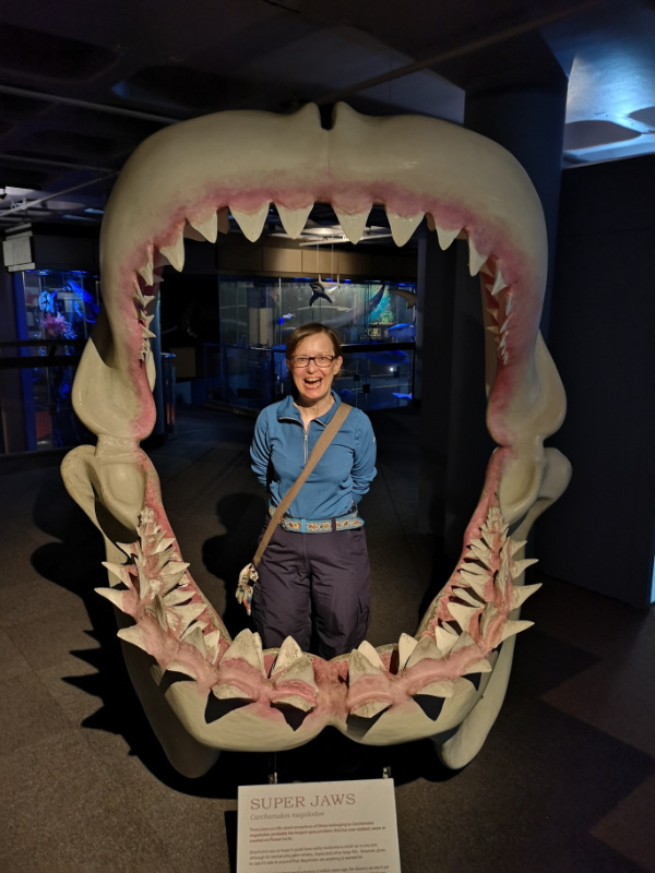 Museum 5