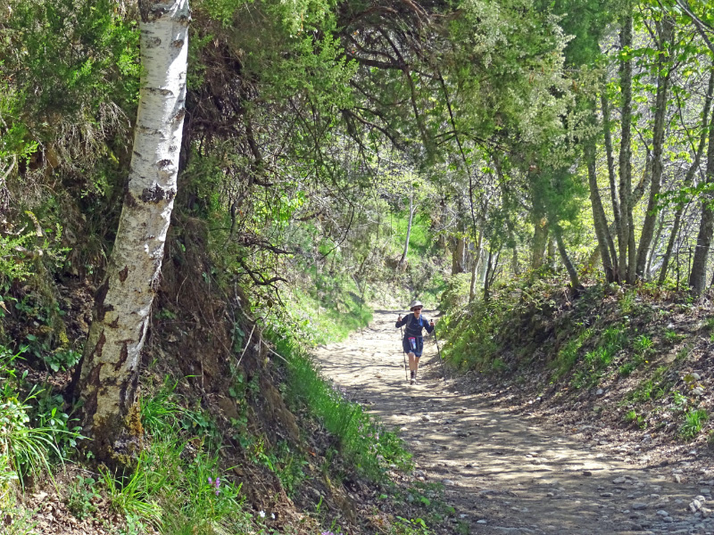 Miche path