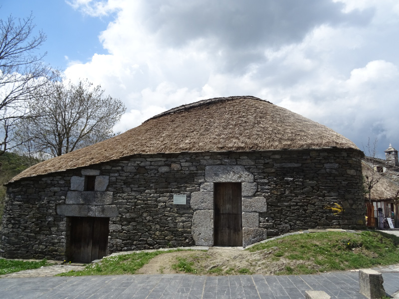 Thatch