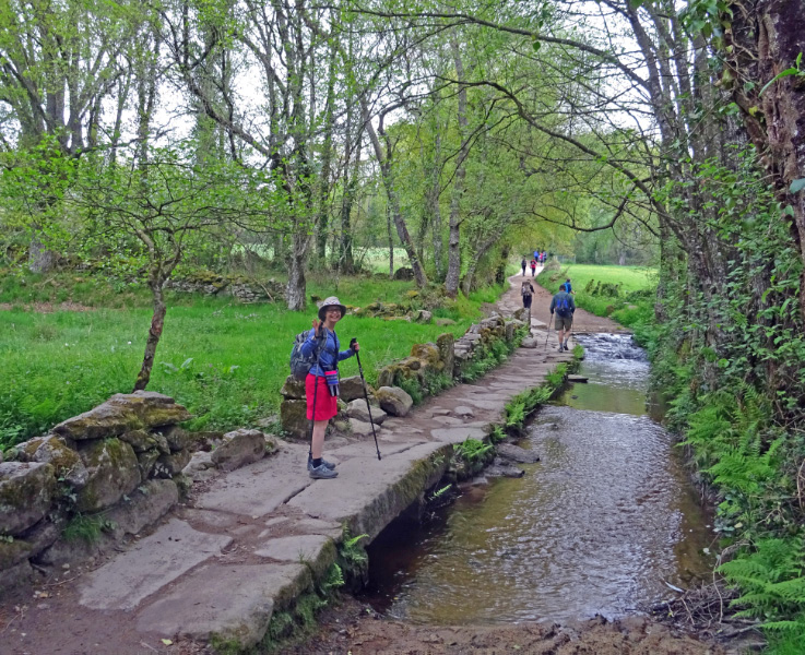 Bridge 1