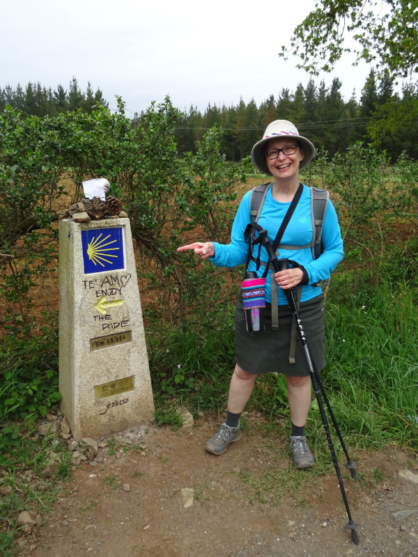 Waymarker 2
