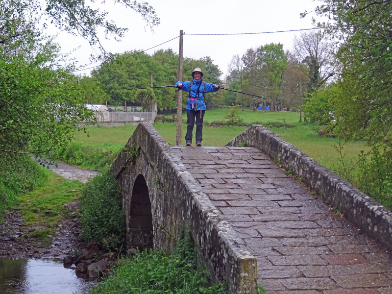 Bridge
