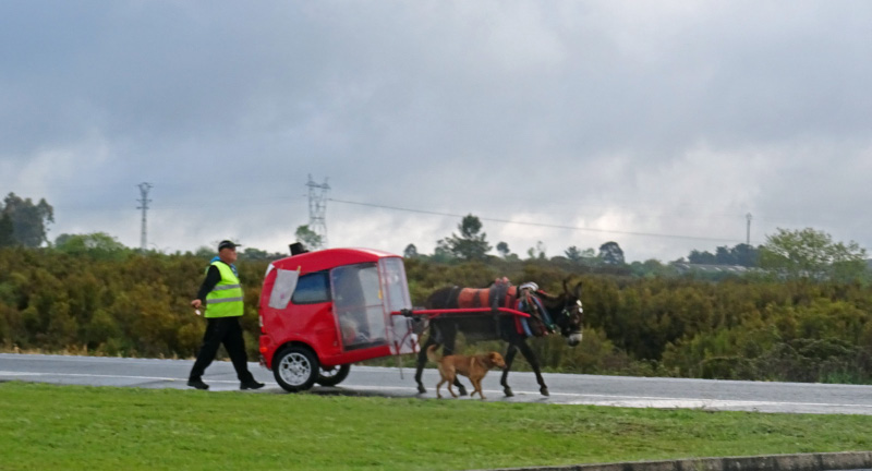 Cart