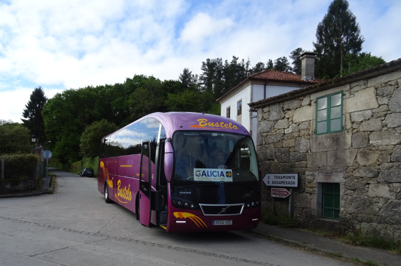 Coach