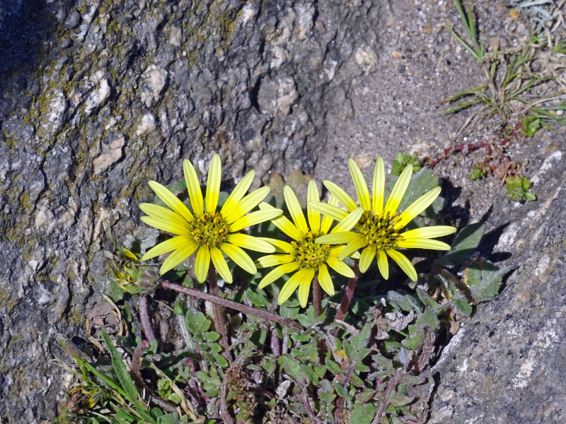 Finisterre 5