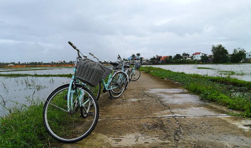 Cycling 4