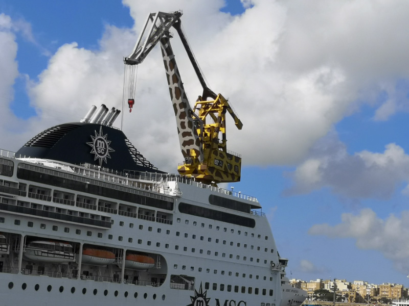 Cruise 11