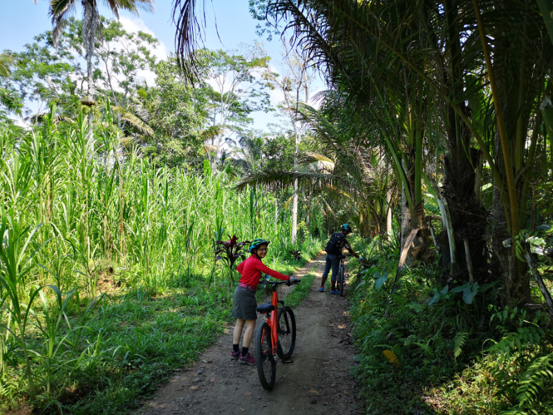 Bike 3