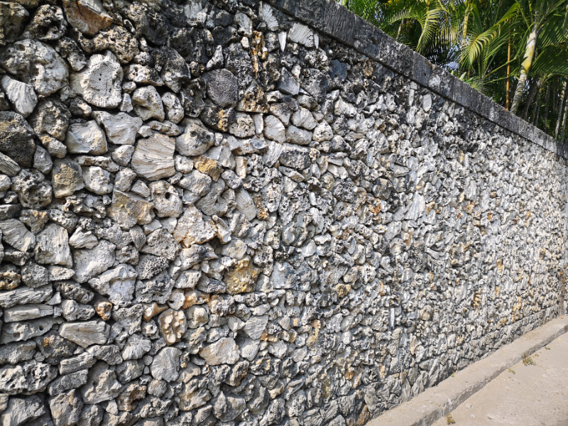 Coral wall