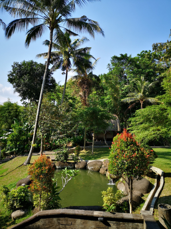 Ubud 2