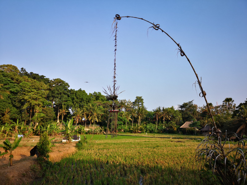 Ubud 4