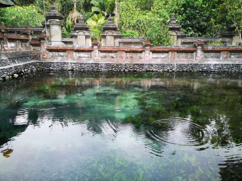 Tirta 7