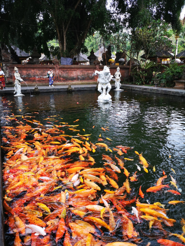 Tirta 10