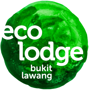 Ecolodge