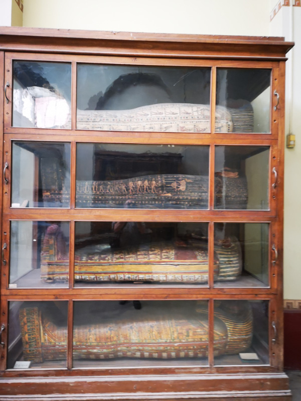Museum 6